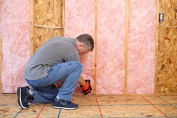 Best Specialized Insulation Services in Balm, FL