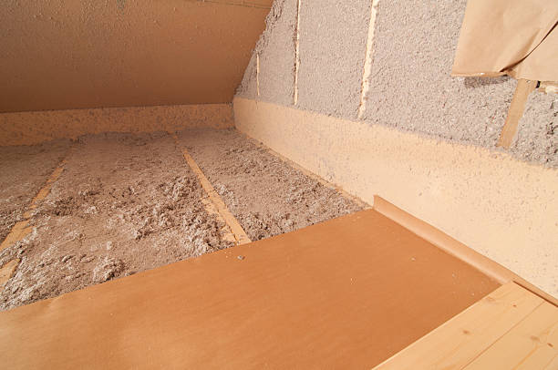 Best Energy Efficiency Insulation in Balm, FL